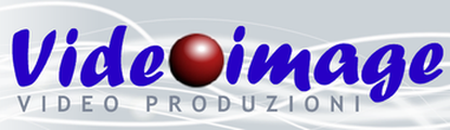 Logo Videoimage